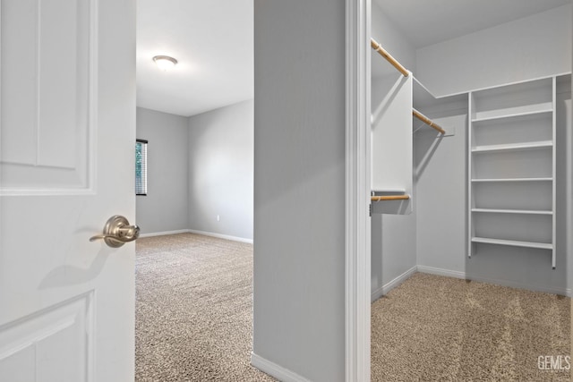 6522 Bangor Pl, Bakersfield, CA 93313 - spacious closet with carpet flooring