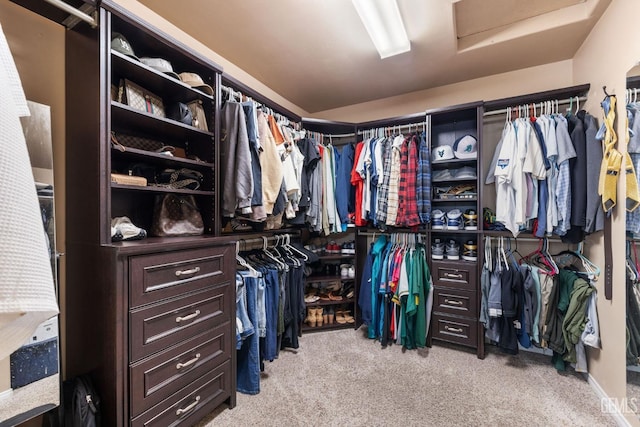 spacious closet featuring light colored carpet