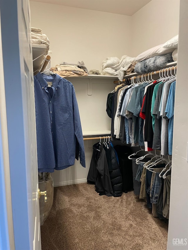 10011 Rosebud Ave, Bakersfield, CA 93311 - walk in closet with carpet