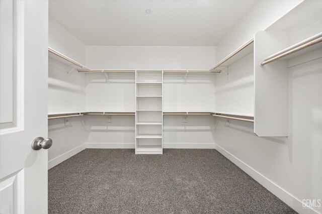 205 Goertzen Ave, Shafter, CA 93263 - walk in closet with dark colored carpet