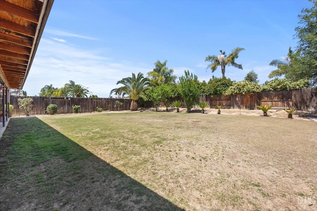 5502 Veneto St, Bakersfield, CA 93308 - view of yard