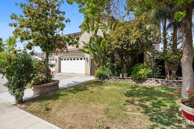 obstructed view of property featuring a front lawn, stucco siding, and driveway