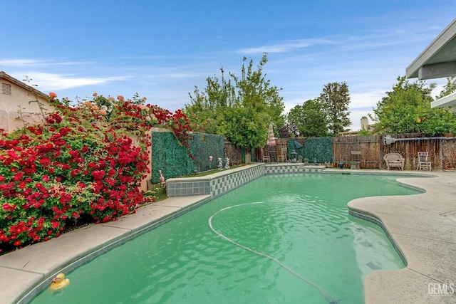 view of swimming pool featuring a fenced backyard and a fenced in pool