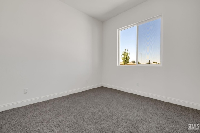 empty room with carpet flooring