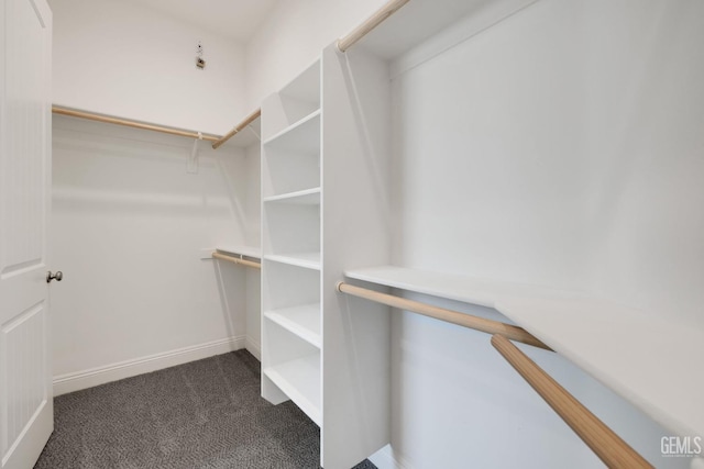 walk in closet featuring dark carpet