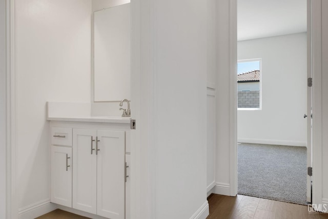 bathroom featuring vanity and wood-type flooring