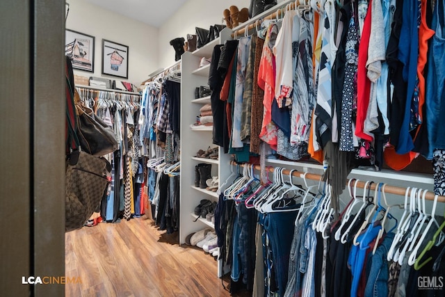 spacious closet featuring hardwood / wood-style flooring