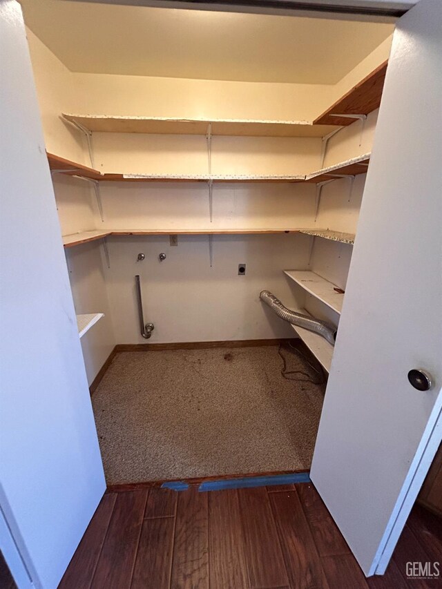 walk in closet featuring dark wood-type flooring