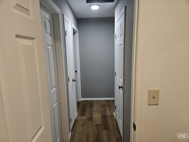 hallway featuring dark wood-type flooring