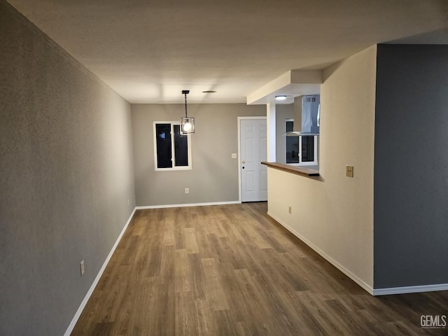 unfurnished dining area with wood-type flooring