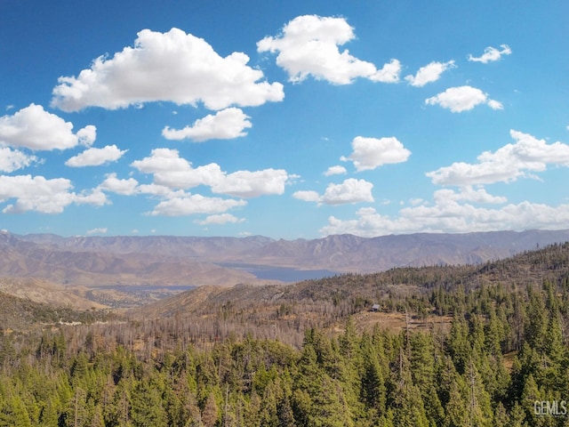 view of mountain feature