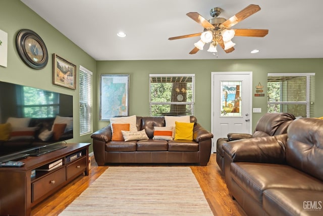 living room featuring ceiling fan and light wood-type flooring