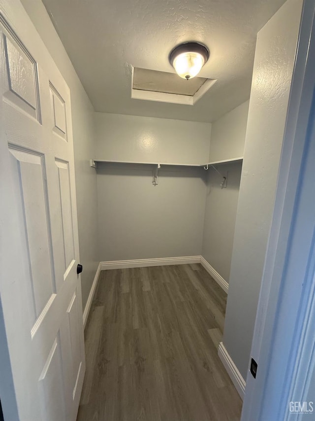 walk in closet featuring attic access, wood finished floors, and a tray ceiling