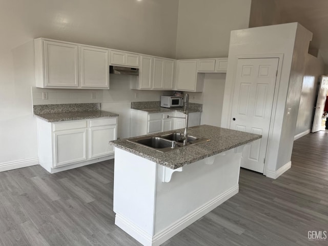 kitchen featuring baseboards, white microwave, high vaulted ceiling, under cabinet range hood, and a sink