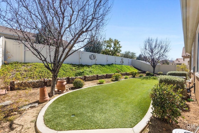 view of yard with a fenced backyard