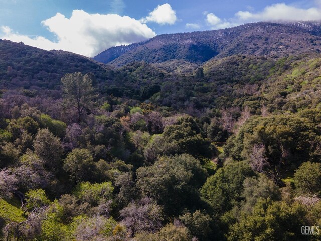 29421 Clear Creek Rd, Keene, CA 93531 - photo 5