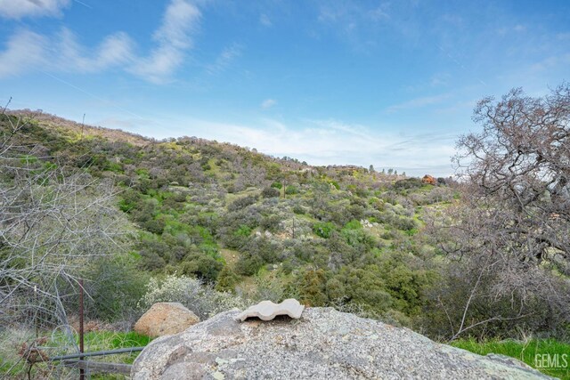 29421 Clear Creek Rd, Keene, CA 93531 - photo 2