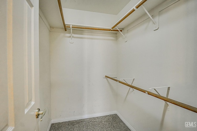 spacious closet with carpet floors