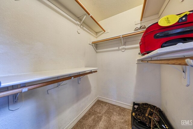 22824 Mariposa Rd, Tehachapi, CA 93561 - spacious closet featuring carpet flooring