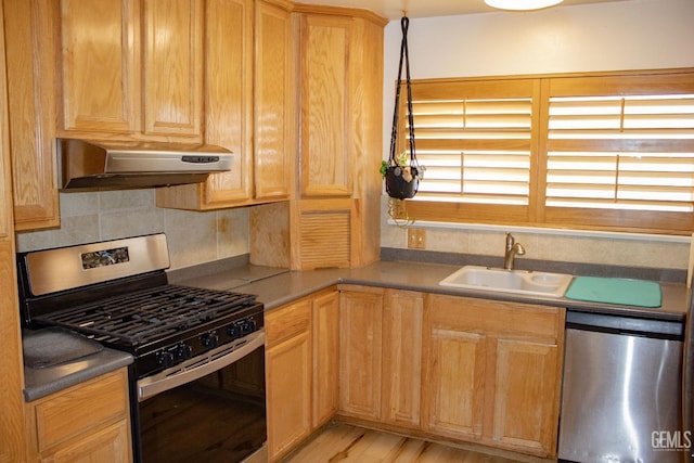 kitchen with under cabinet range hood, a sink, light wood-style floors, appliances with stainless steel finishes, and backsplash