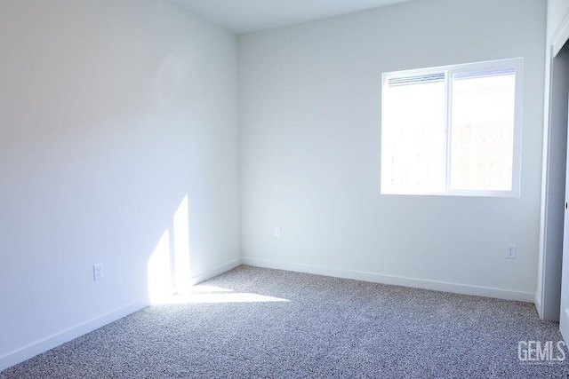 empty room featuring carpet floors