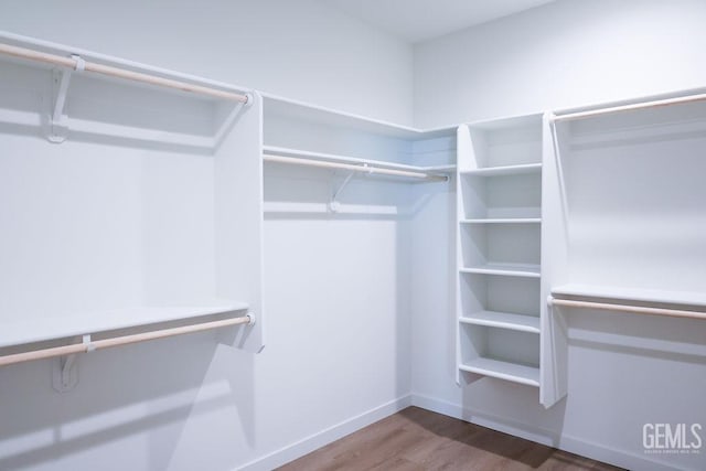 spacious closet with hardwood / wood-style flooring