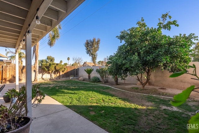 view of yard featuring a patio