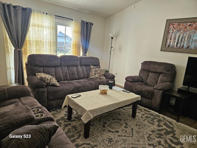 living room featuring a textured ceiling