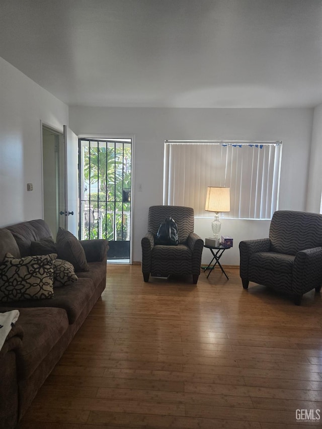 living room featuring wood-type flooring