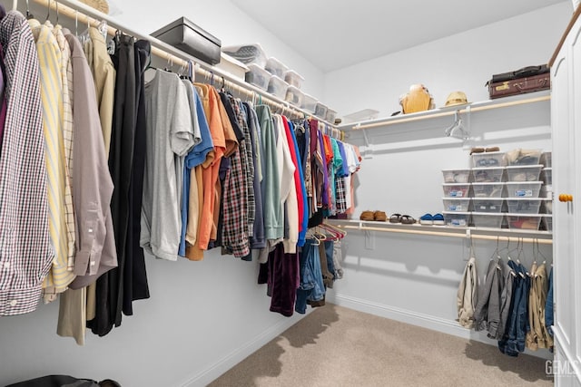 spacious closet featuring carpet floors