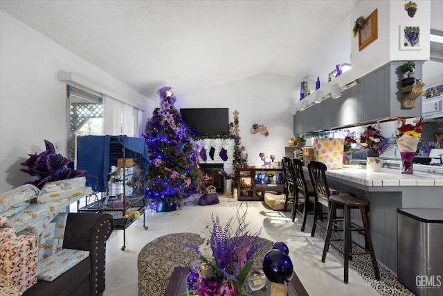 6009 Cedar Glen Ln, Bakersfield, CA 93313 - living area featuring lofted ceiling and a textured ceiling