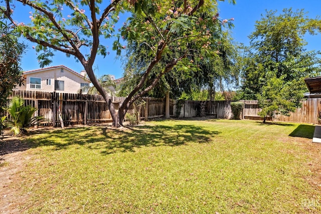 5601 Sugar Pine Dr, Bakersfield, CA 93313 - view of fenced backyard