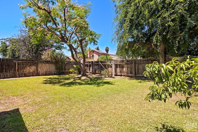 5601 Sugar Pine Dr, Bakersfield, CA 93313 - view of fenced backyard