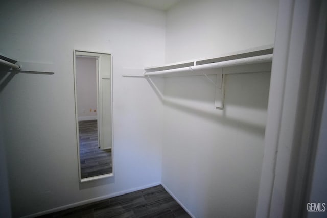 4801 Belle Ter Unit C, Bakersfield, CA 93309 - walk in closet featuring dark wood-style flooring