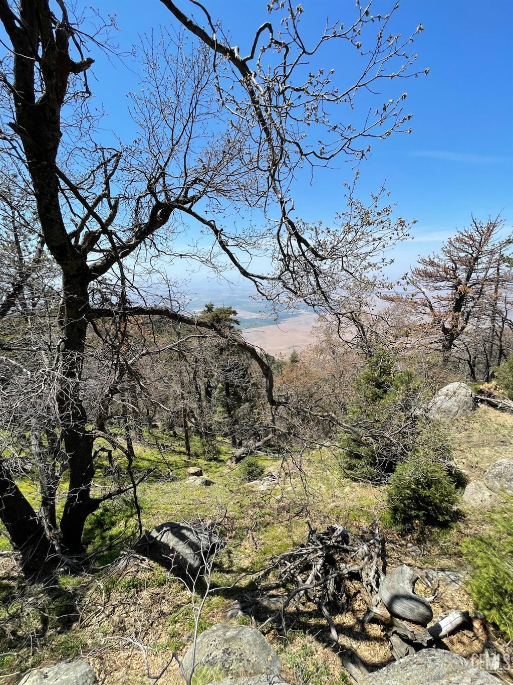 26981 Medicine Bow Ct, Tehachapi, CA 93561 - photo 2