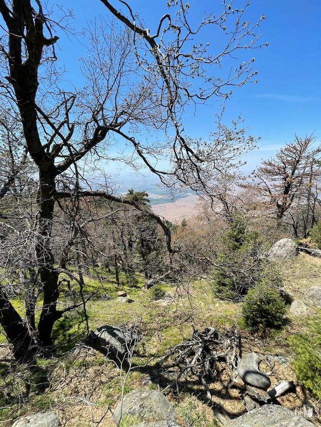 26981 Medicine Bow Ct, Tehachapi, CA 93561 - photo 2