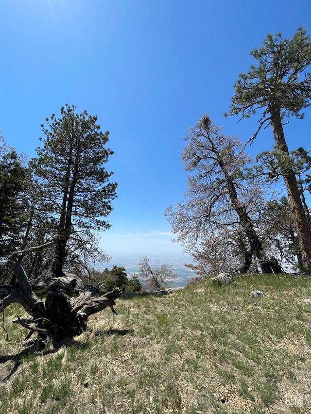 26981 Medicine Bow Ct, Tehachapi, CA 93561 - photo 3