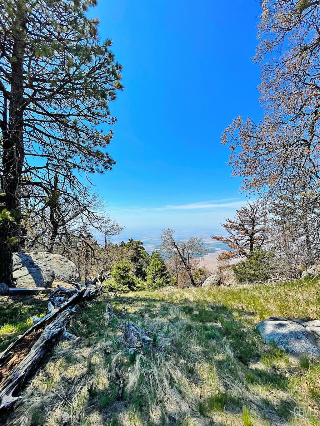 26981 Medicine Bow Ct, Tehachapi, CA 93561 - photo 1
