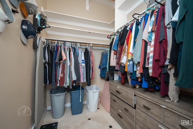 view of spacious closet