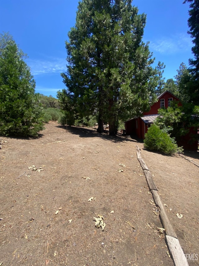 45904 Carlin Dr, Posey, CA 93260 - view of yard with an outbuilding