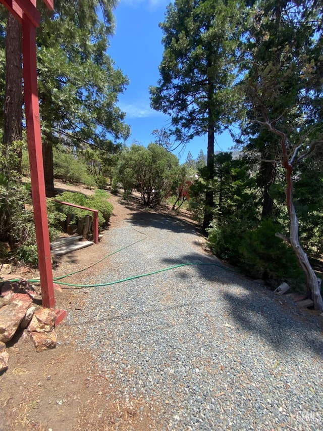 45904 Carlin Dr, Posey, CA 93260 - view of road