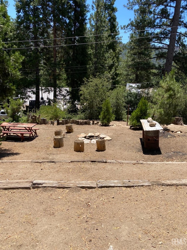 45904 Carlin Dr, Posey, CA 93260 - view of yard