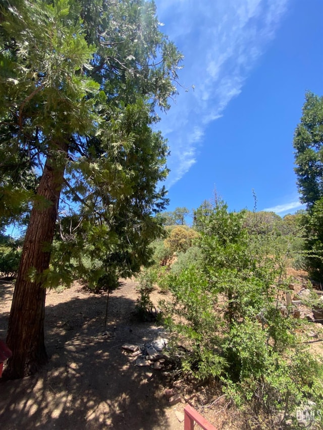 45904 Carlin Dr, Posey, CA 93260 - view of yard