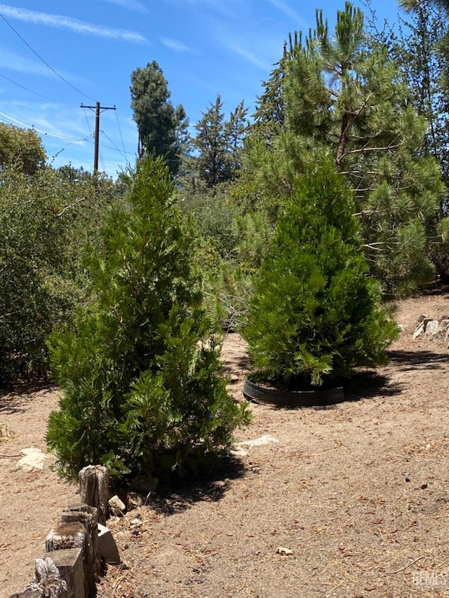 45904 Carlin Dr, Posey, CA 93260 - view of nature