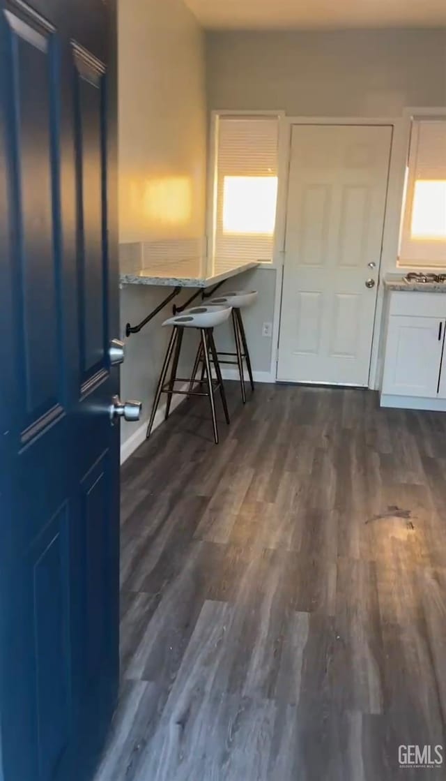 foyer with dark hardwood / wood-style flooring