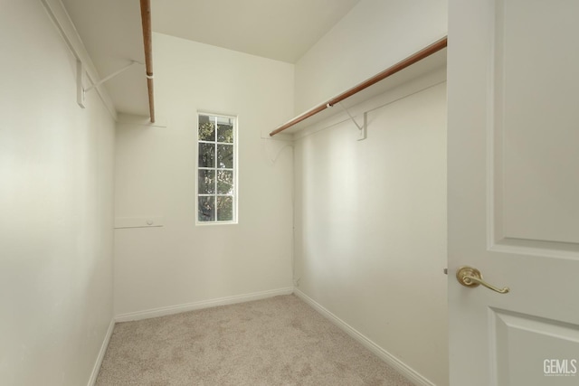 walk in closet with carpet flooring