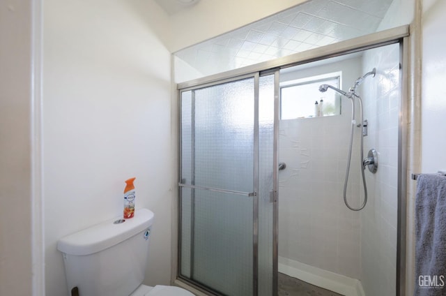 bathroom with toilet and a stall shower