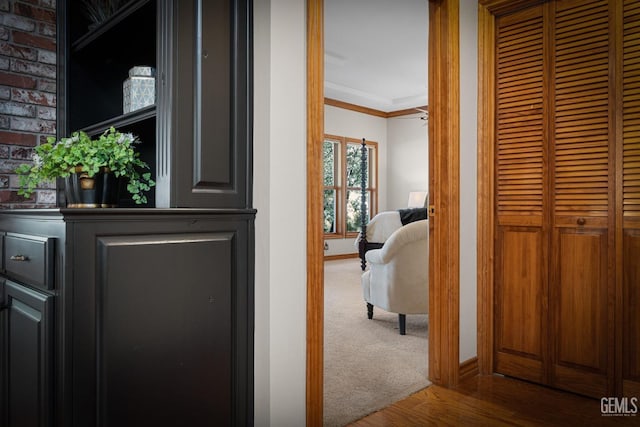 hallway featuring carpet and ornamental molding