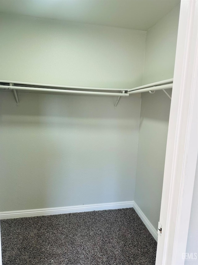 walk in closet with carpet flooring