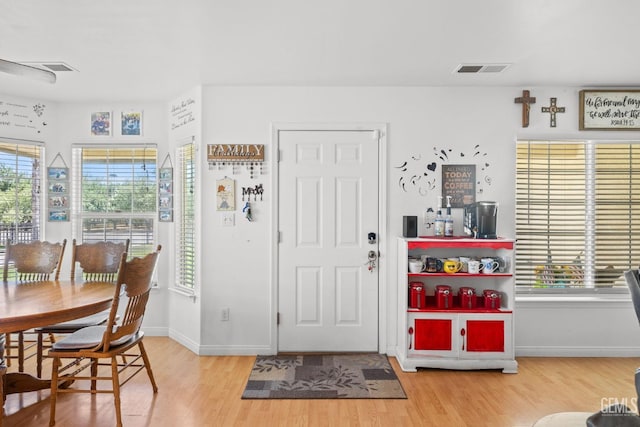 entryway featuring wood-type flooring and a healthy amount of sunlight